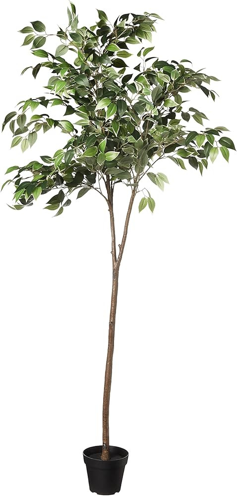 Amazon Basics Artificial Ficus Tree Fake Plant with Plastic Planter Pot, 63-Inch | Amazon (US)