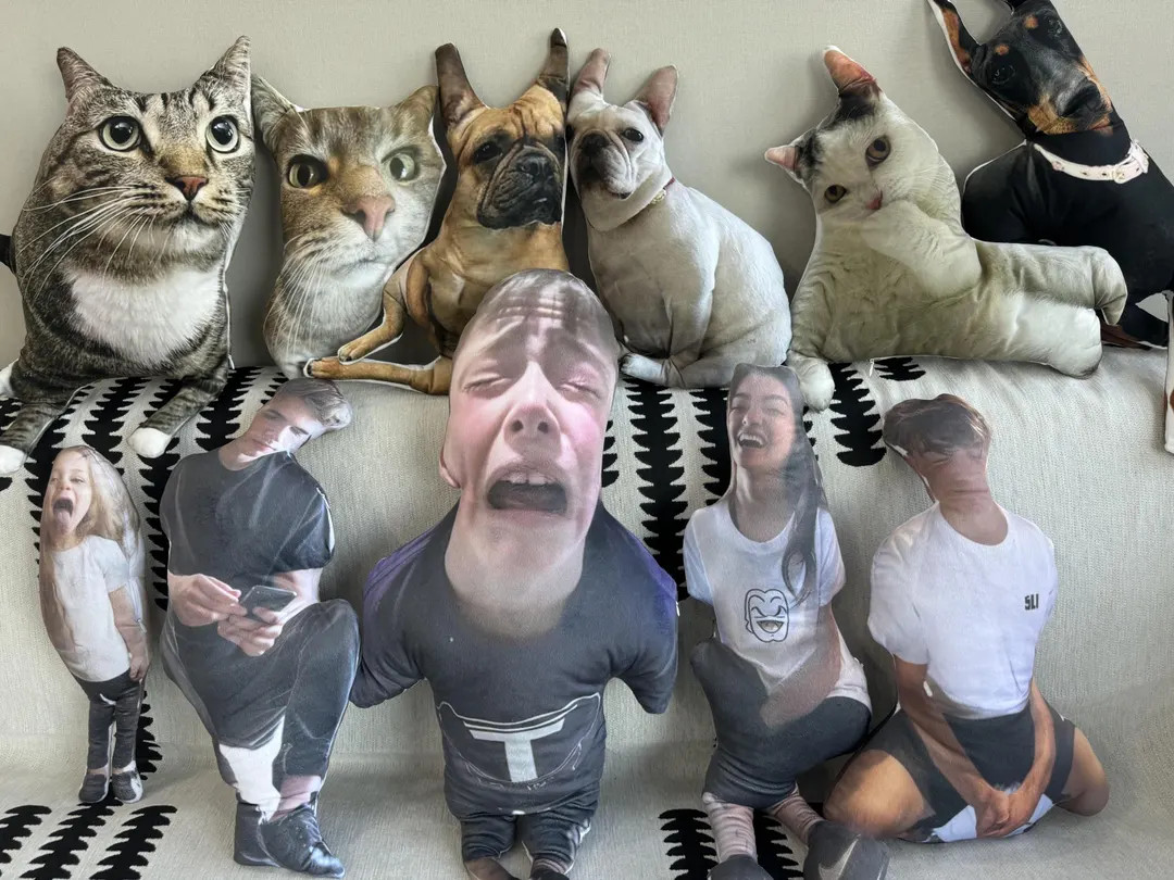 ugly pillow, custom ugly pillow for friend or pet, Hot Ugly Cat, pet pillow, gift for friend, val... | Etsy (US)