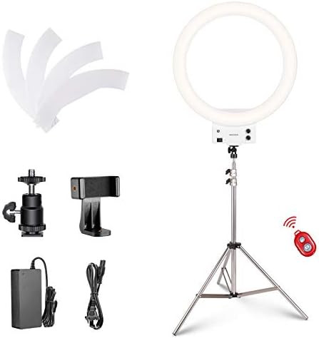 Neewer 18-inch White LED Ring Light with Silver Light Stand Lighting Kit Dimmable 42W 3200-5600K wit | Amazon (US)