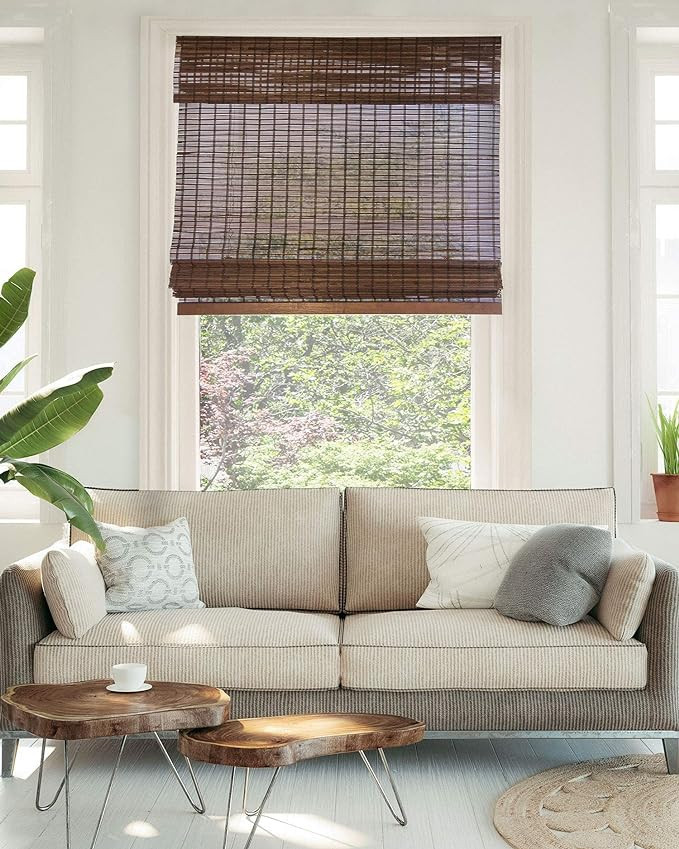 CHICOLOGY Bamboo Blinds , Bamboo Shades , Roman Shades for Windows , Roman Window Shades , Window... | Amazon (US)