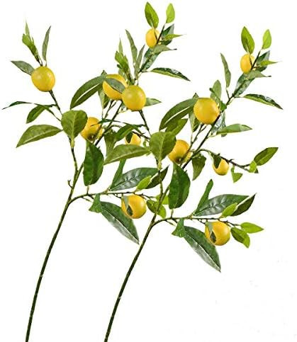 Rinlong Artificial Lemon Branches for Kitchen Party Decor Yellow Fake Lemon Decorations Farmhouse St | Amazon (US)