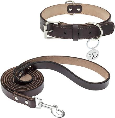 Leather Dog Collar and Leash Set - Genuine Leather Collars Heavy Duty Alloy Hardware, Soft Traini... | Amazon (US)