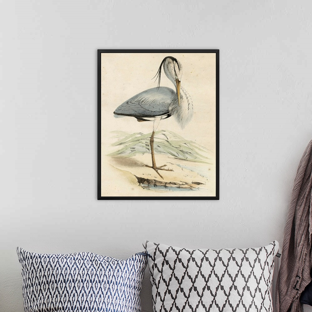 Antique Heron IV Wall Art | Great Big Canvas - Dynamic