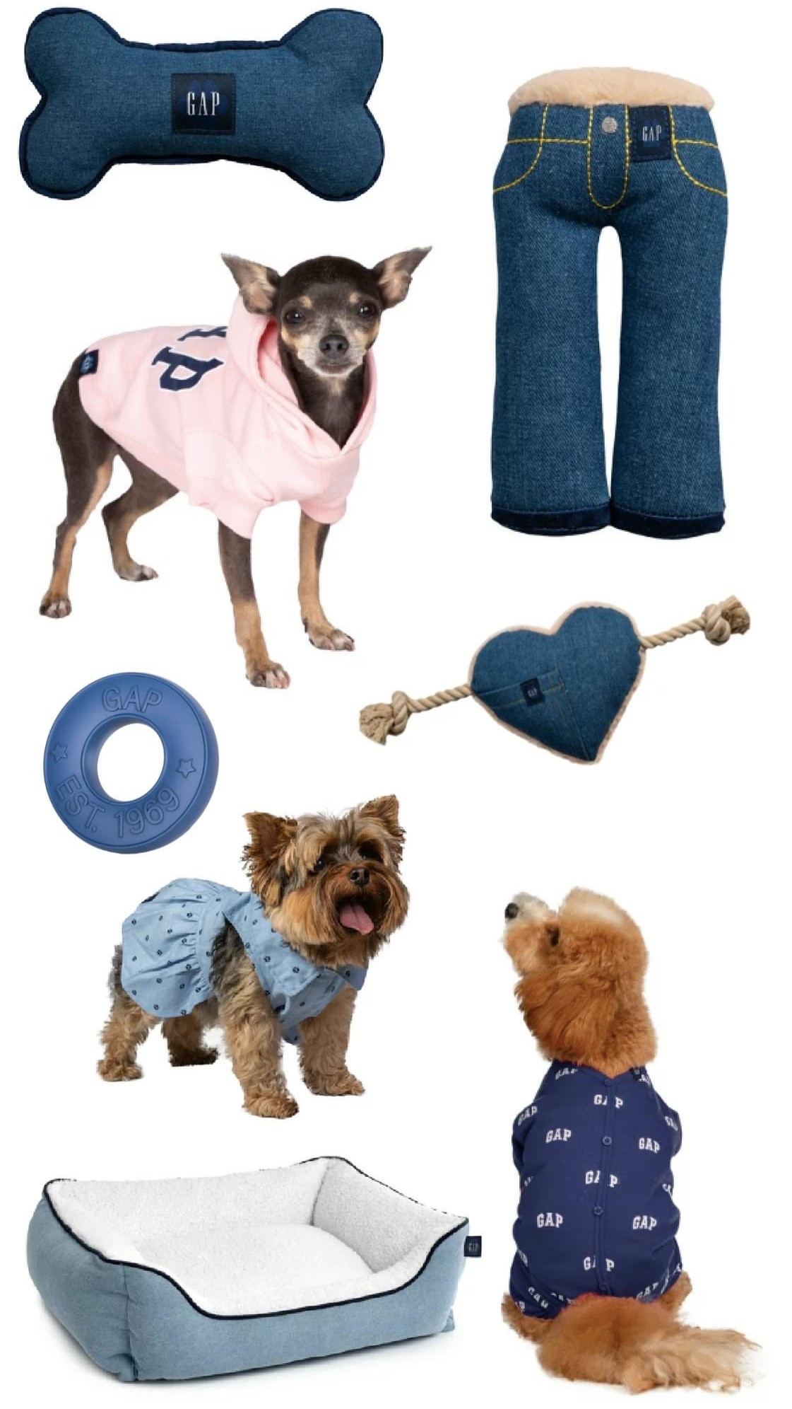 dog pjs gap