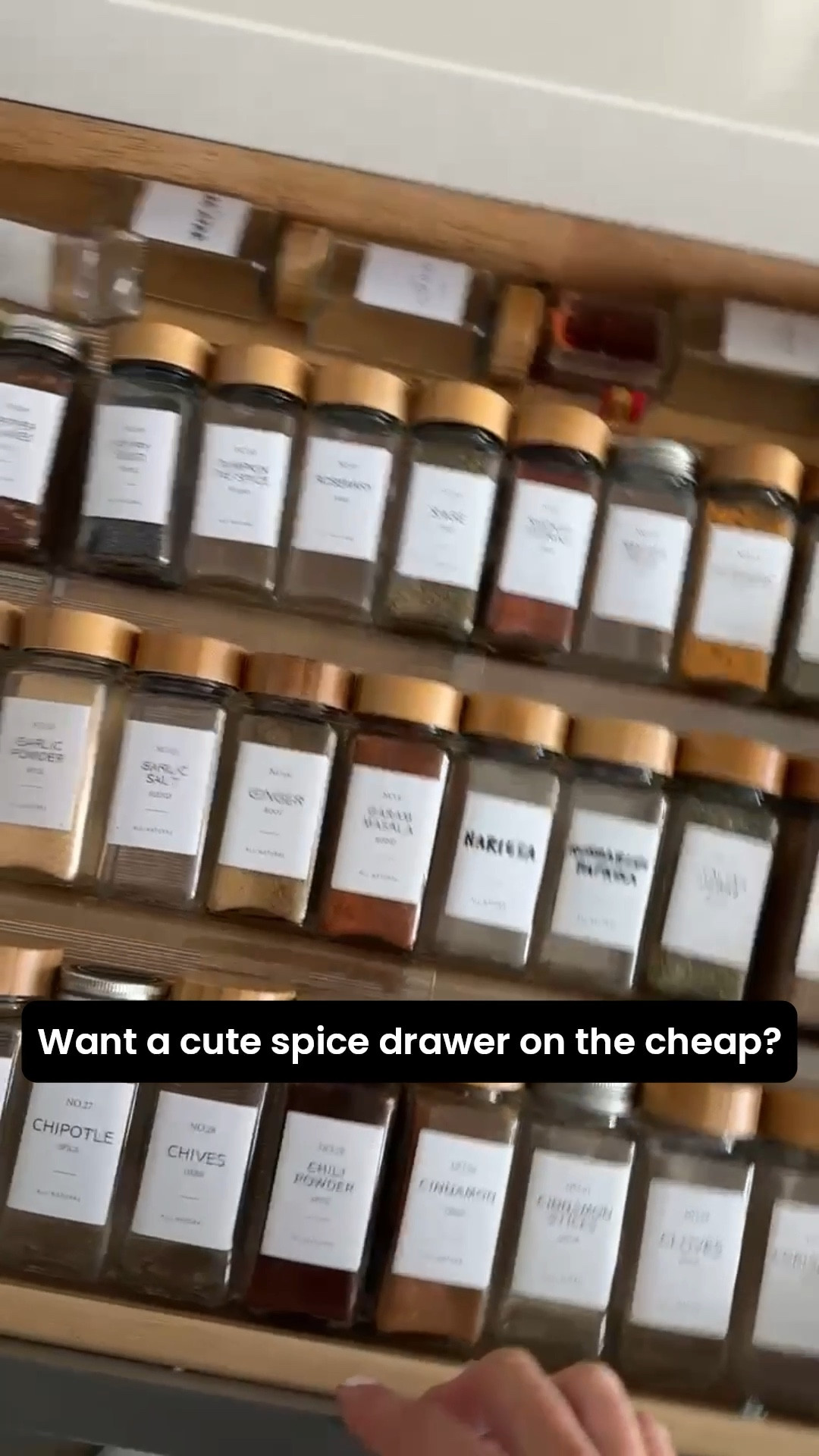 🌿 Spice drawer glow-up! Adjustable rack + chic jars = kitchen magic #spiceorganization #kitchenstorage #organizedhome #pantrygoals #spicejars

#LTKHome #LTKSaleAlert #LTKSeasonal #LTKFindsUnder100 #LTKFindsUnder50 #LTKHome