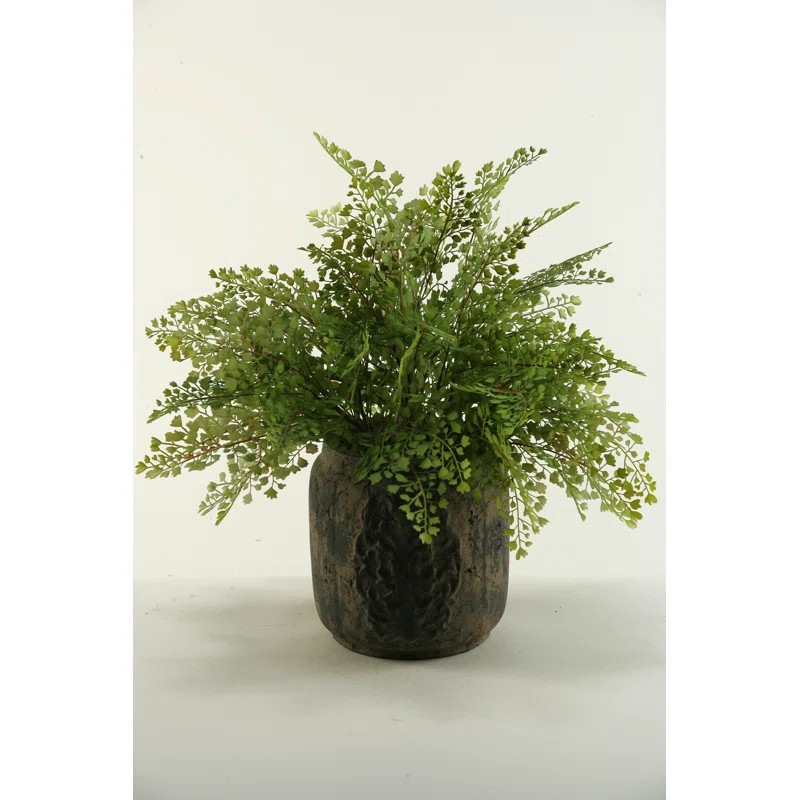 20'' Faux Fern Plant in Ceramic Planter | Wayfair North America