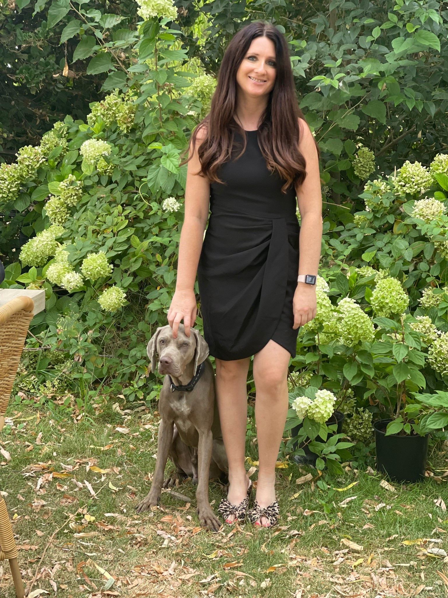 Shopbop Sale dress! My favorite Black Halo dress is on sale! It’s the perfect classic little dress!! I bought it theee years ago and it’s still a staple in my wardrobe and always will be! It’s incredibly flattering on every body type including petites (I’m under 5’4). Wear it with heels, heeled sandals, a pumps! ❤️

#LTKOver40 #LTKPetite #LTKWedding