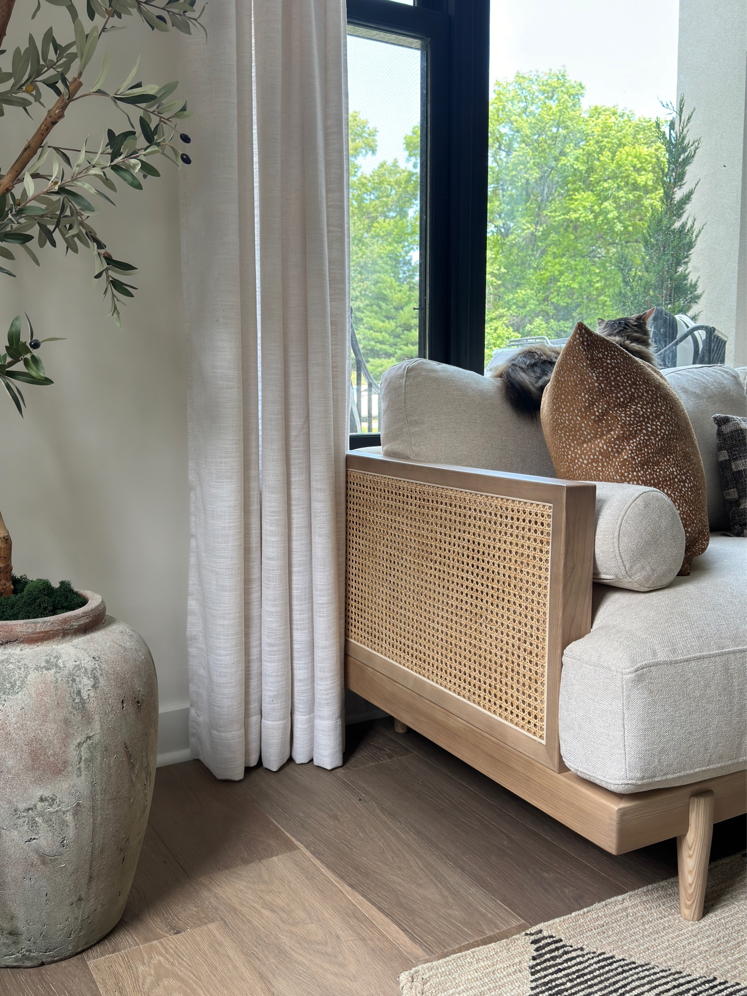 Wayfair sofa with cane webbed design frame 
@wayfair
#wayfairpartner
#wayfair

#LTKHome #LTKSaleAlert #LTKStyleTip