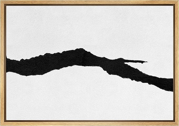 SIGNWIN Framed Canvas Print Wall Art Black White Stripe Grunge Color Field Abstract Shape Illustr... | Amazon (US)