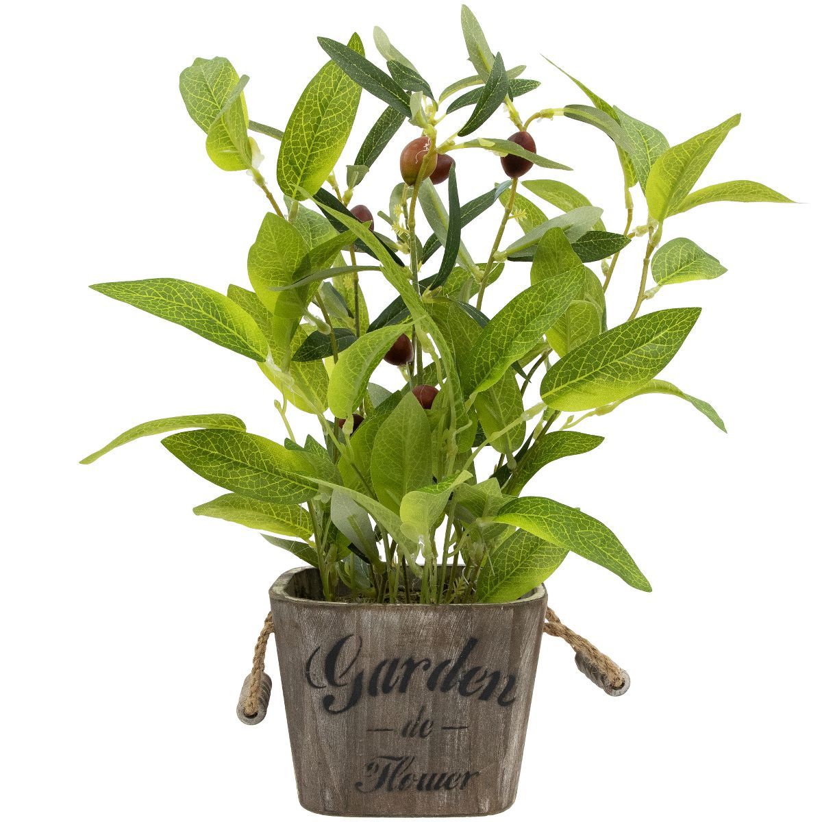 Northlight Artificial Olive Plant in Rustic Pot with Handles - 14" | Target