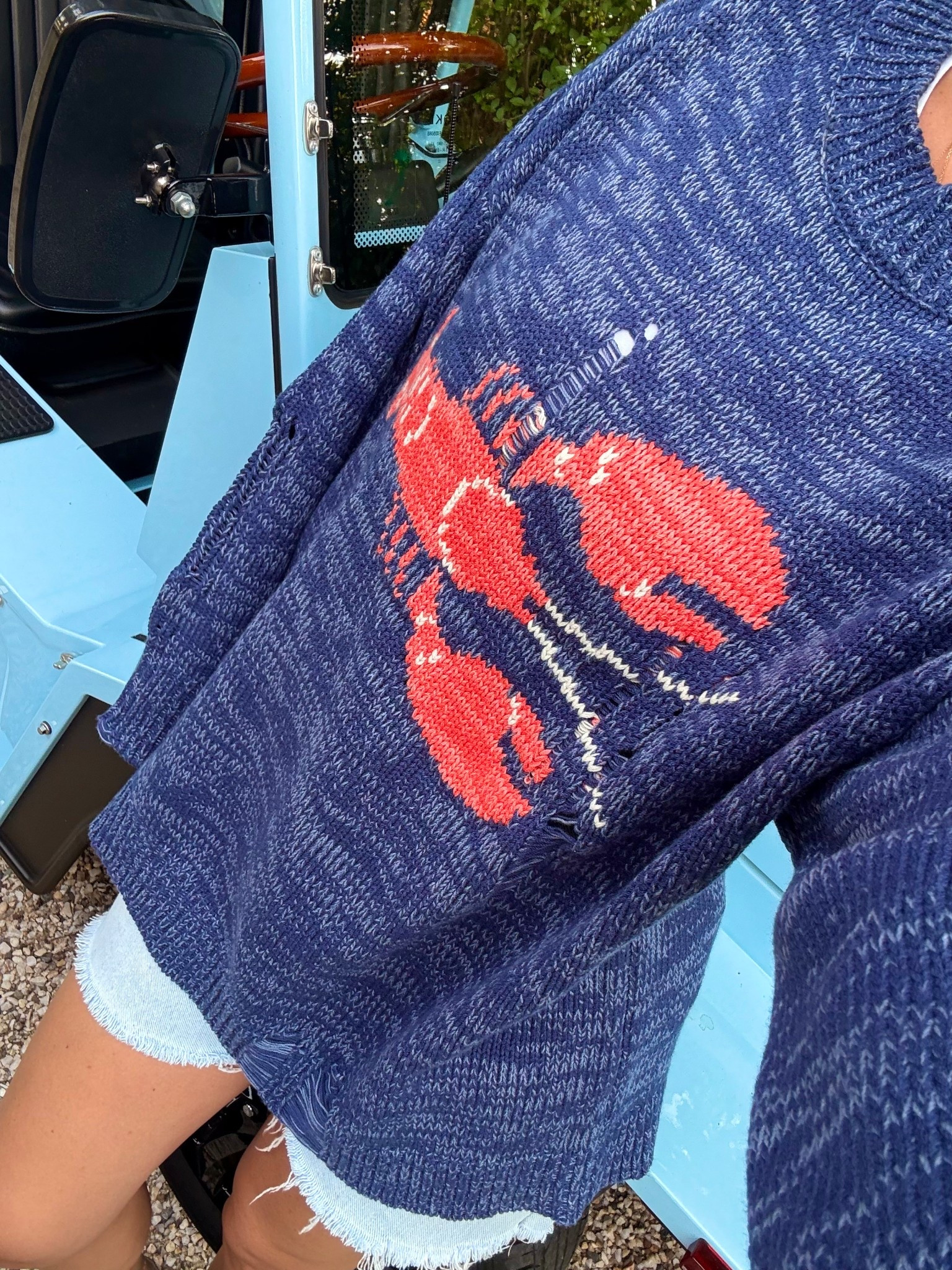 Perfect summer lobster sweater 

#LTKFindsUnder50 #LTKStyleTip #LTKSeasonal