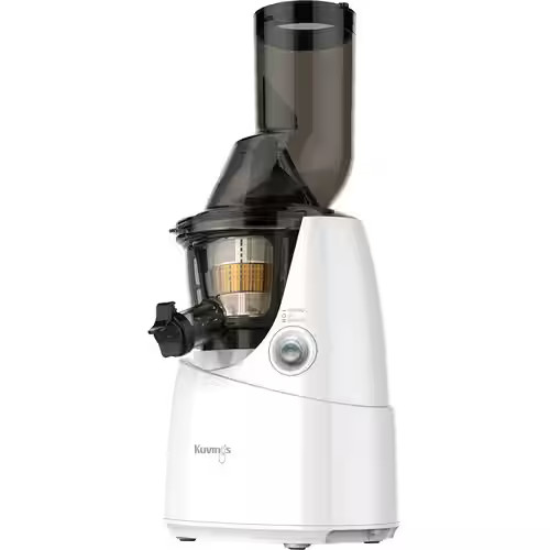 Kuvings Whole Slow Juicer White B6000W - Best Buy | Best Buy U.S.