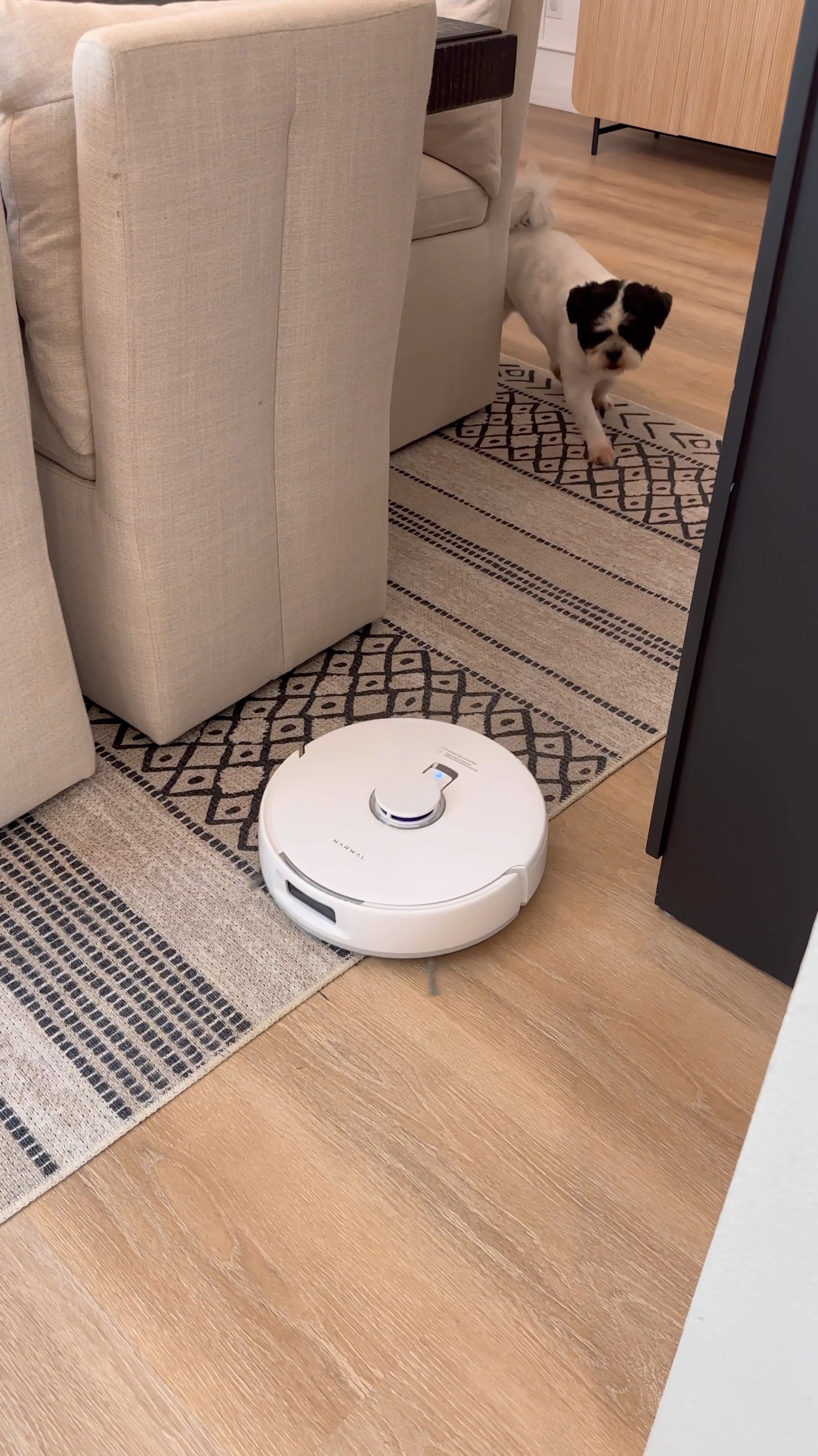 My cleaning bestie! Vacuums and mops my floors at a touch of a button! Setup no-go zones on the app and control the vacuum suction strength!! 


Robot vacuum and mop
Smart vacuum and mop
Narwal vacuum and mop
White Narwal vacuum and mop
Home cleaning tools
Floor disinfectant 
Self cleaning vacuum and mop
Narwal smart cleaning floor robot 
Home



#LTKVideo #LTKHome #LTKSaleAlert