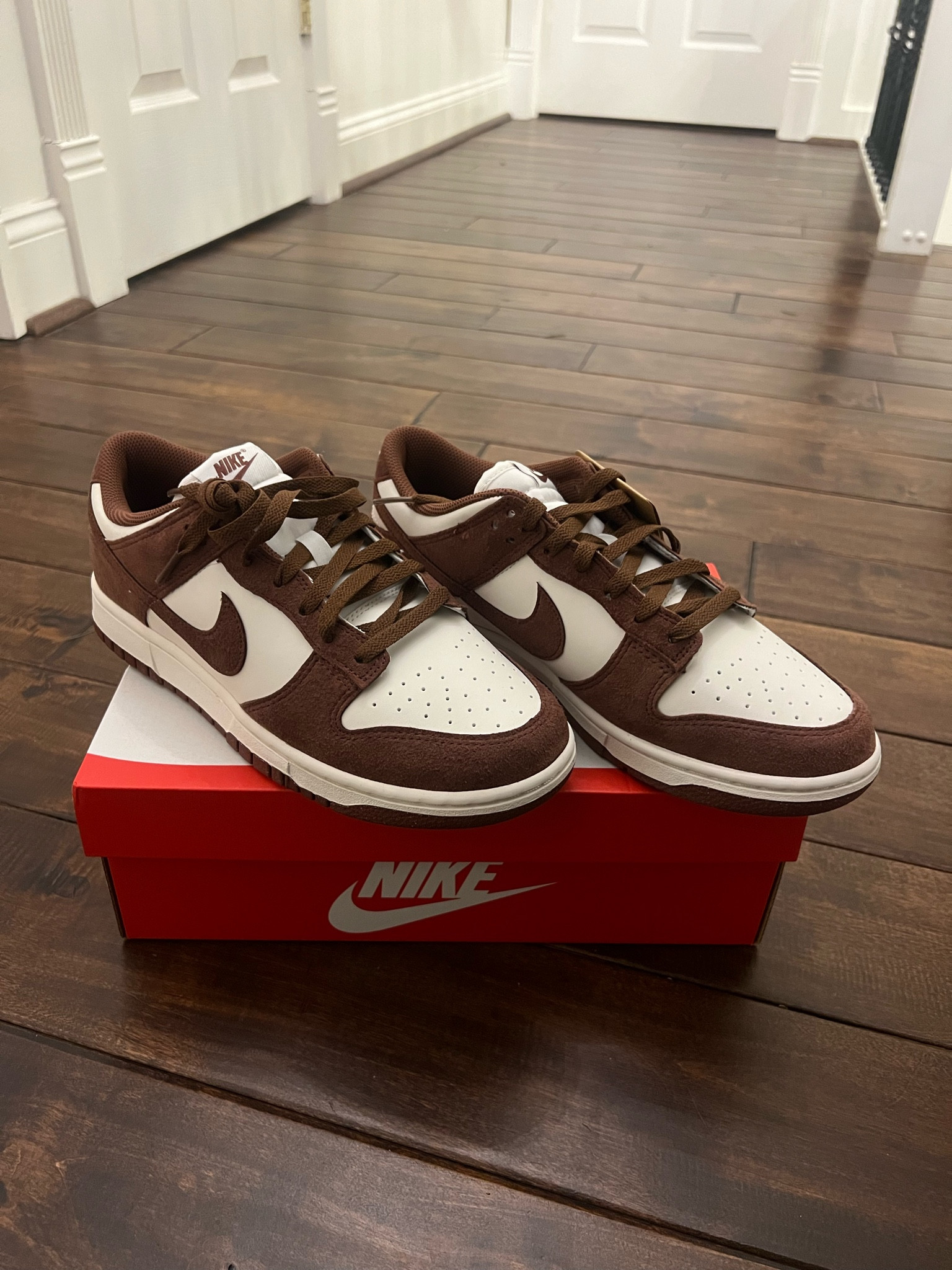 Brown Nike Dunks