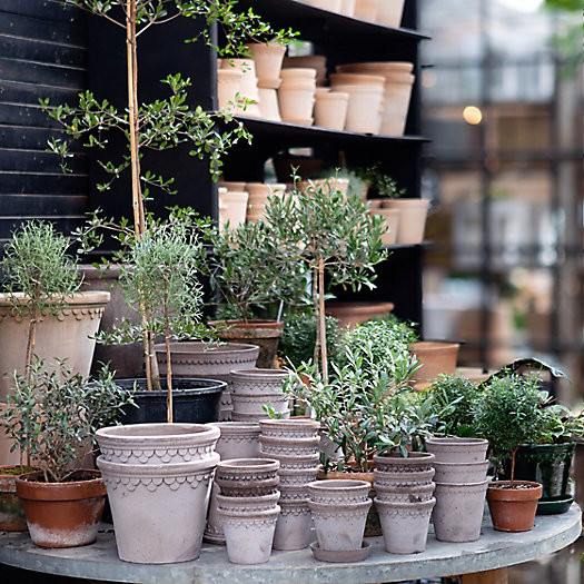 Bergs Scallop Pot + Saucer Set | Terrain