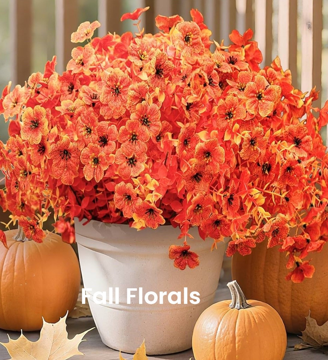 Take a moment to appreciate these lovely orange mums, a perfect way to welcome the warmth and beauty of Fall. 

They can add a cheerful touch to your front porch or brighten up your home's curb appeal, bringing a sense of comfort and joy to your surroundings.

#LTKSeasonal #LTKFindsUnder50 #LTKHome