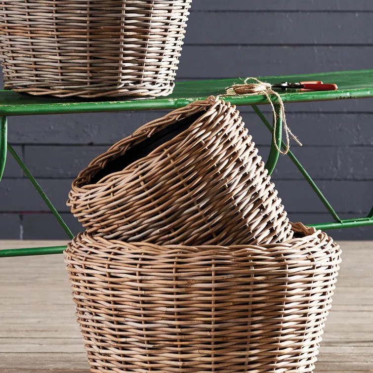 Aravale Rattan Pot Planter | Wayfair North America
