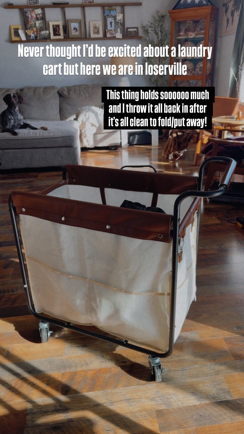 It holds sooo much and rolls really nicely! Makes laundry a tiny bit more enjoyable! 

#LTKmomlife #LTKdayinmylife #LTKHome