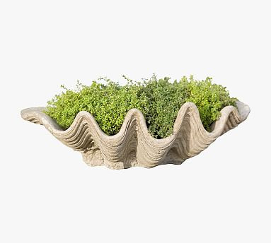 Pismo Seashell Planter | Pottery Barn (US)