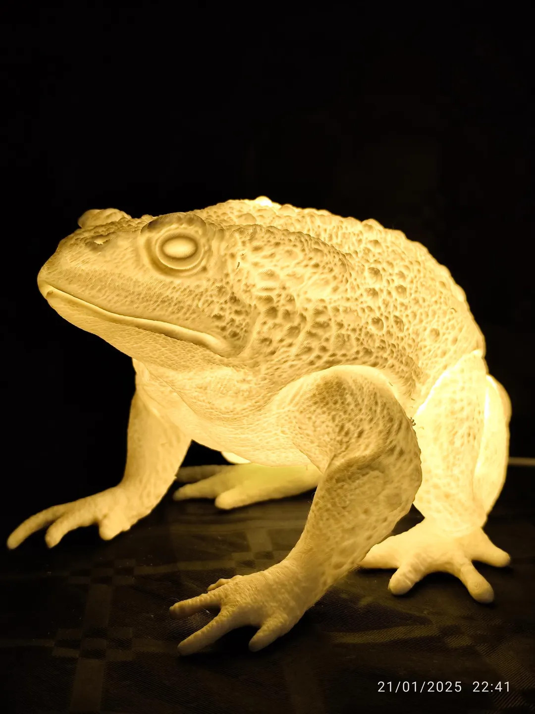 Realistic Frog Table Lamp / Home Decoration / 3D Lamp / Artistic Lighting / Nature / Unique Desig... | Etsy (US)