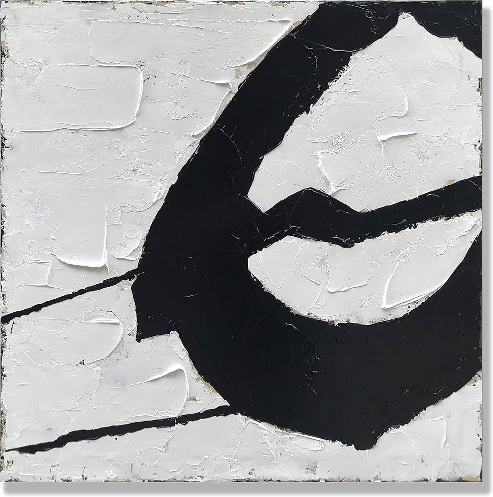 zoinart Black and White Painting Hand-Painted Abstract Modern Oil Painting on Canvas Wall Art Min... | Amazon (US)