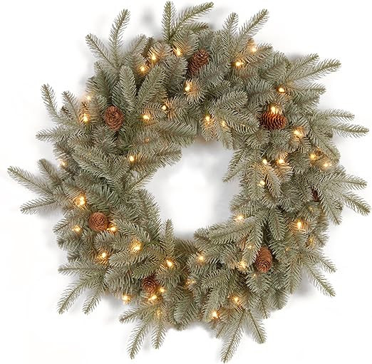 National Tree 24 Inch "Feel Real" Frosted Artic Spruce Wreath with Cones and 50 Clear Lights (PEF... | Amazon (US)