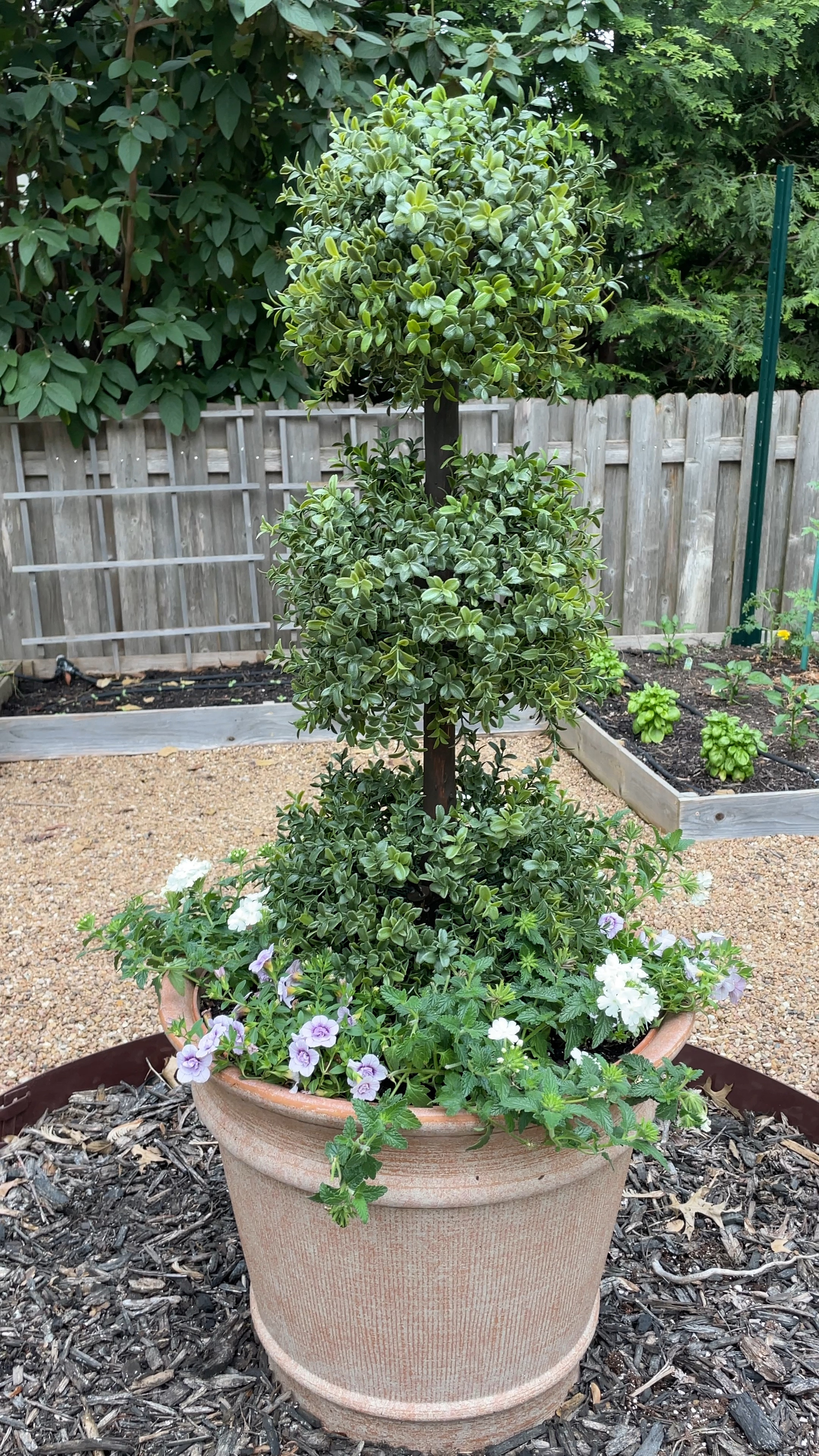 Want to know how to make your faux plants look real??  Plant real flowers around them!

#LTKSeasonal #LTKhome #LTKstyletip