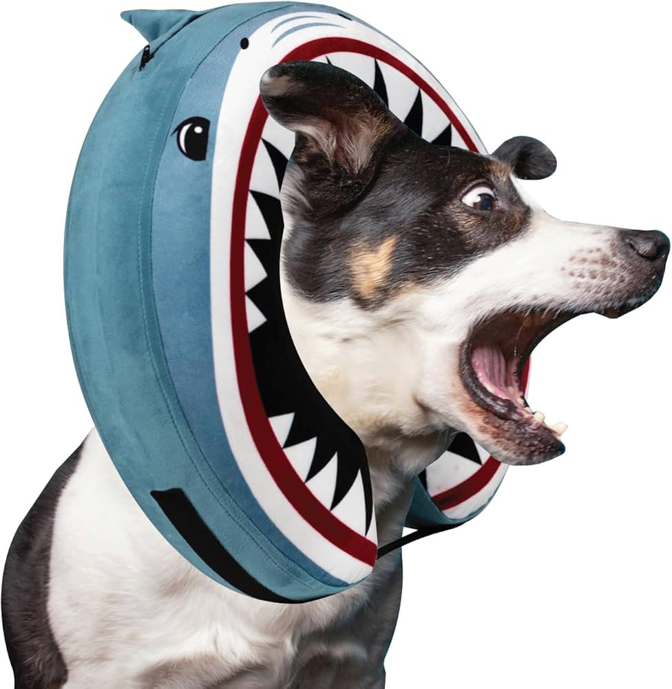 Shark Theme Inflatable Dog Cone Collar (Large) for After Surgery Care Bundled with Pump and Extra... | Amazon (US)