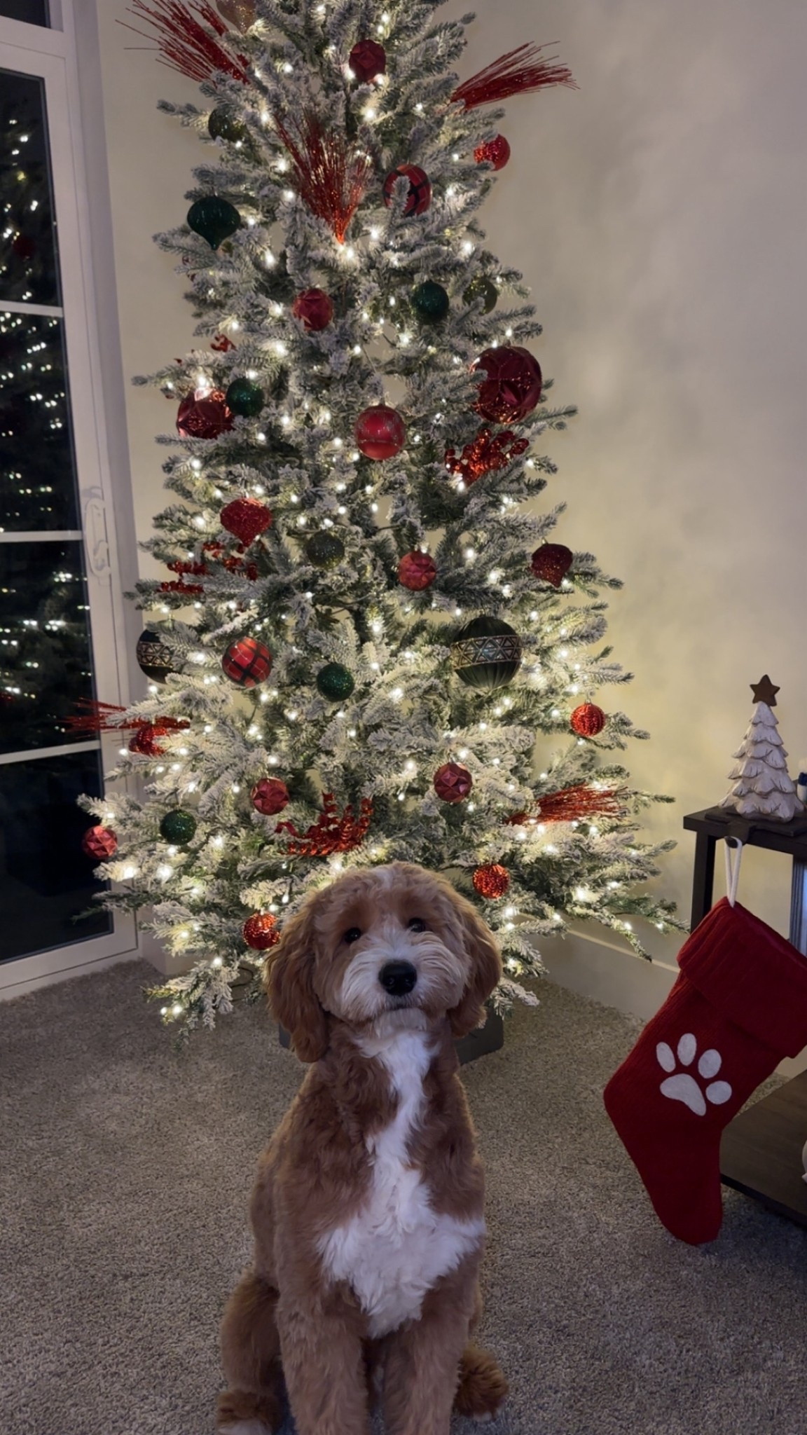 Walter’s first Christmas by our flocked tree + his paw print stocking ❤️🎄 
I linked our holiday decor, flocked Christmas tree, ornaments, and dog Christmas stocking so you can recreate this cozy neutral + red holiday look at home.

#LTKFindsUnder50 #LTKHoliday #LTKSeasonal