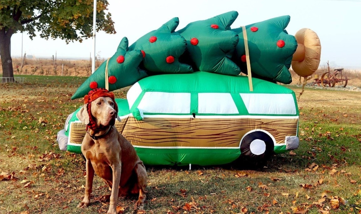National Lampoon’s Christmas Vacation inflatable. Clark Griswold station wagon inflatable. Cousin Eddie. ❤️

#LTKSeasonal #LTKHome #LTKHoliday