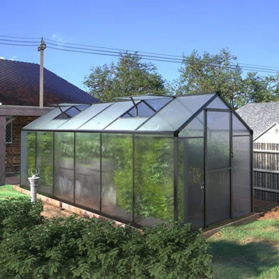 6 × 12 Ft. Greenhouse | Wayfair North America