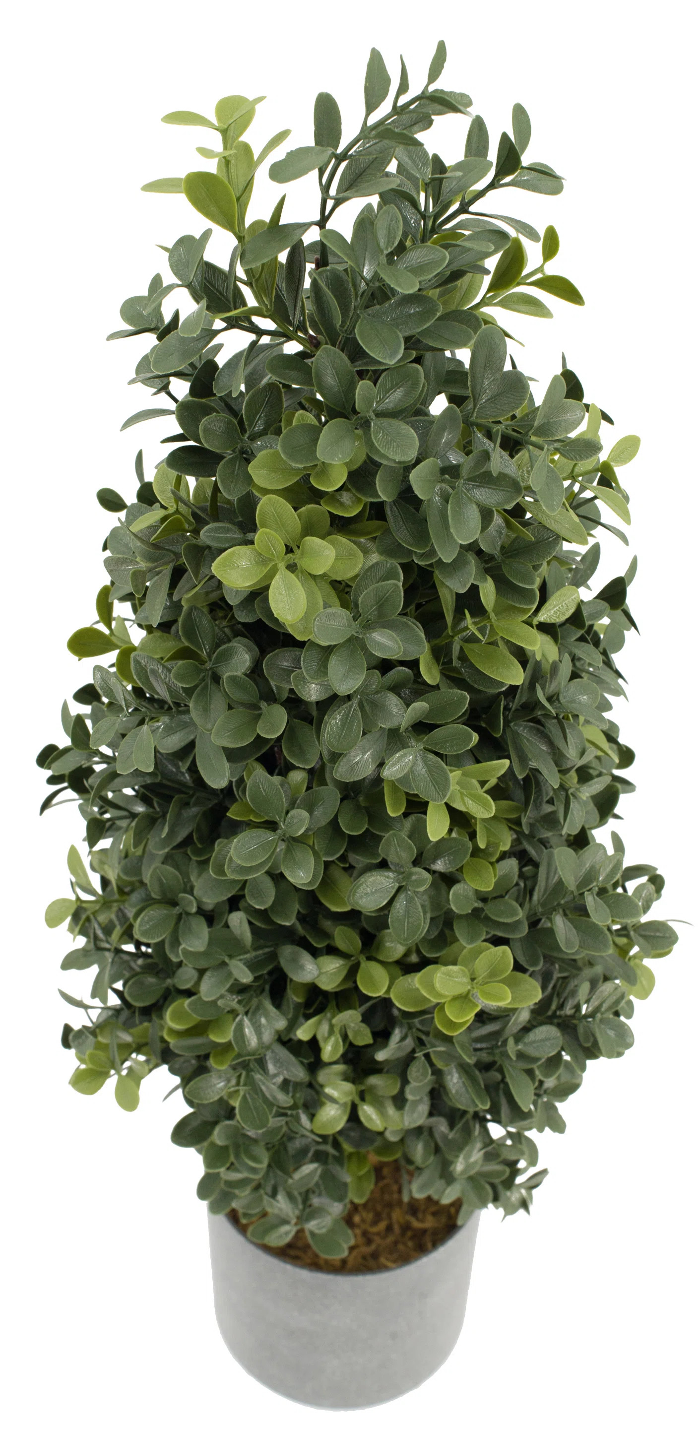 24'' Faux Boxwood Tree in Pot | Wayfair North America