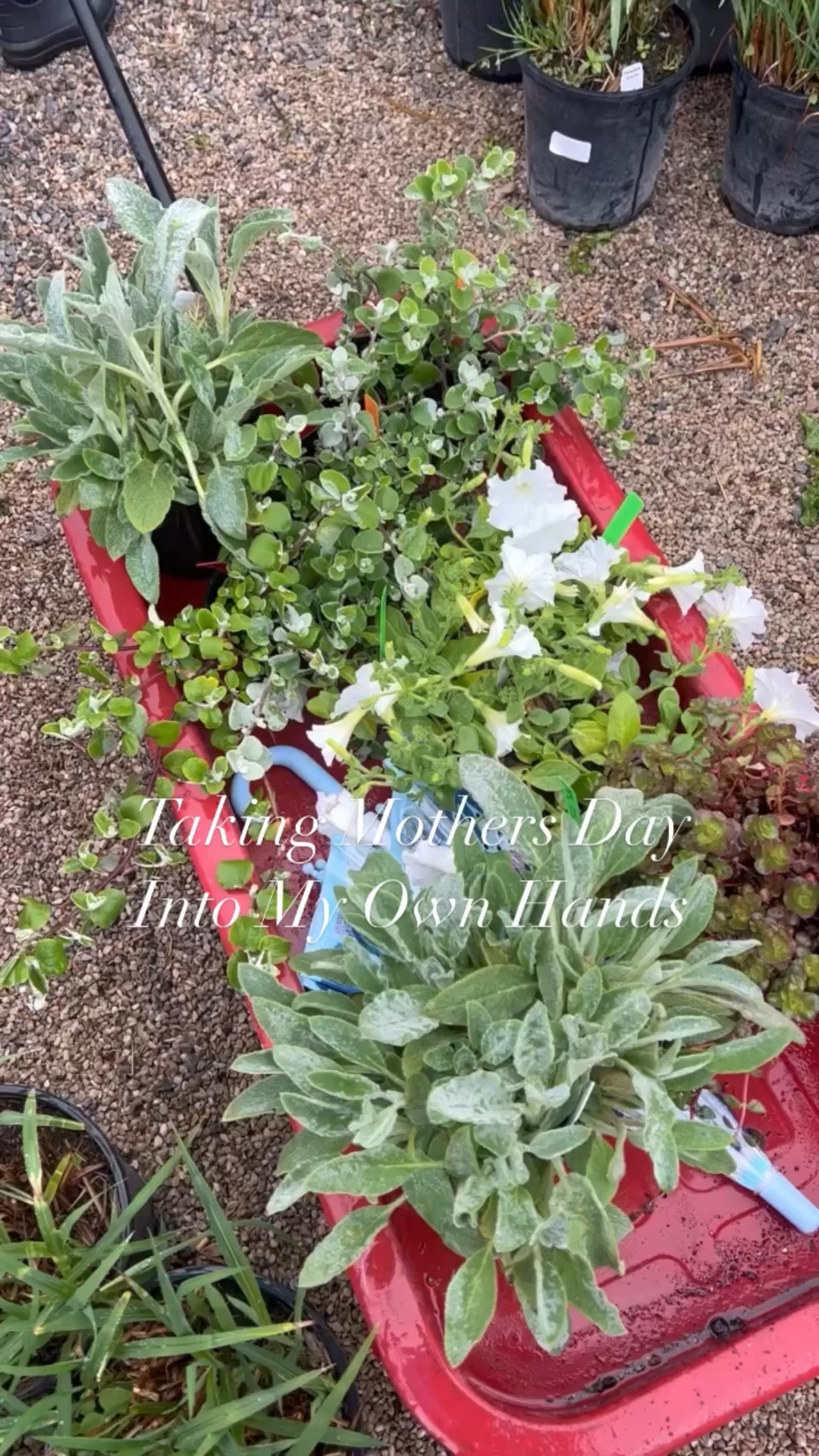 I am a BIG believer in making the holidays what you wish them to be so for Mother’s Day Wayfair and I are sharing all of my picks for you to snag to make your garden and home a happy one full of hosting this year. #wayfair @wayfair #ad 