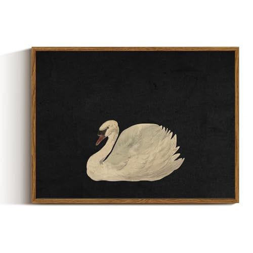 VIYYIEA Framed Canvas Wall Art Home Decor Swan Art Wall Decorations Prints Grace Swan Painting Pictures Rustic Bathroom Wall Decor Farmhouse Home Decor for Living Room Bedroom Office Decor 12x16in | Amazon (US)