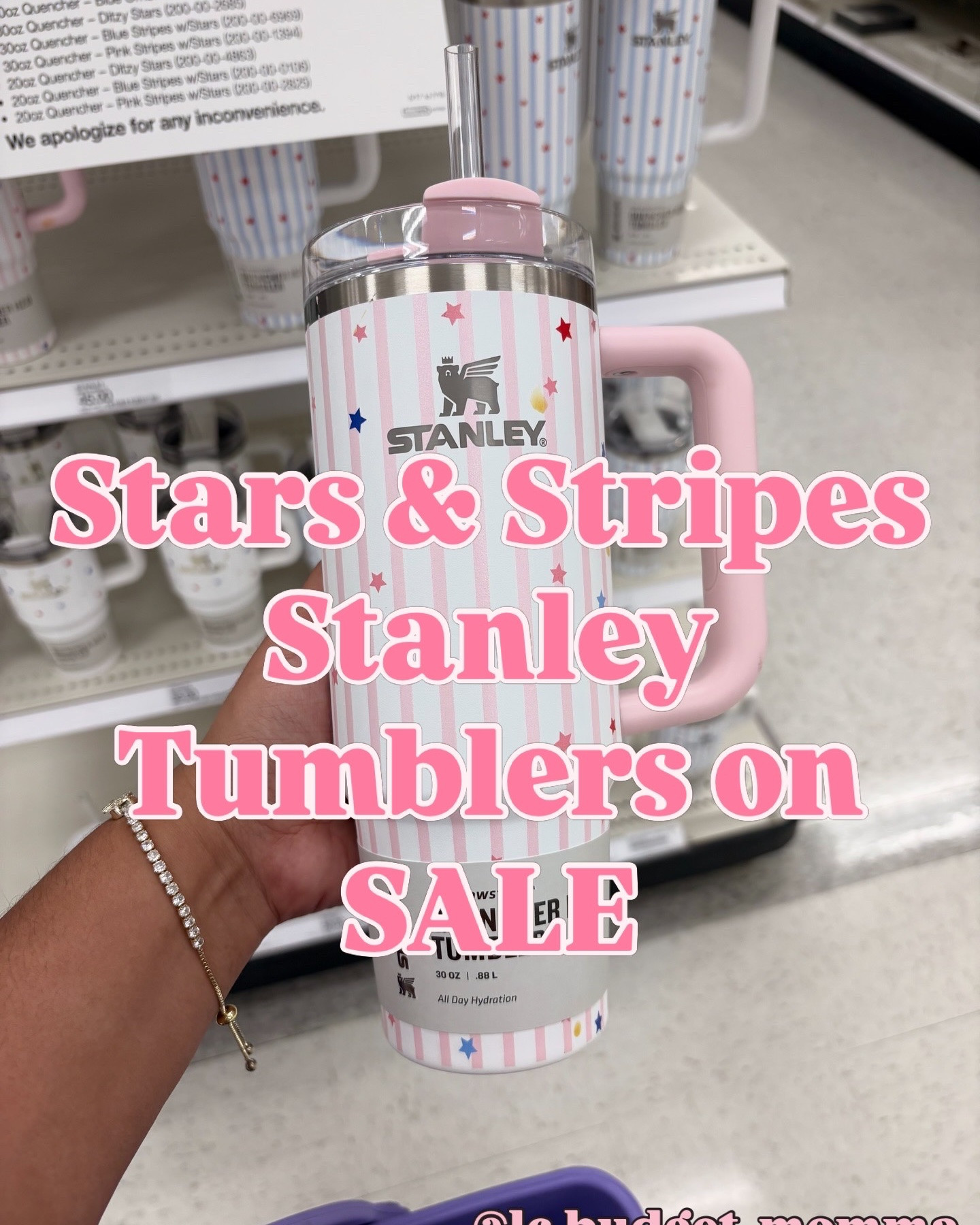 #stanley #tumbler #sale #targetdeals

#LTKSaleAlert #LTKSeasonal