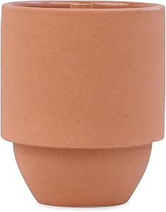 Paddywax Candles Parks Collection Scented Candle, 11-Ounce, Grand Canyon-Cactus Flower + Fern | Amazon (US)