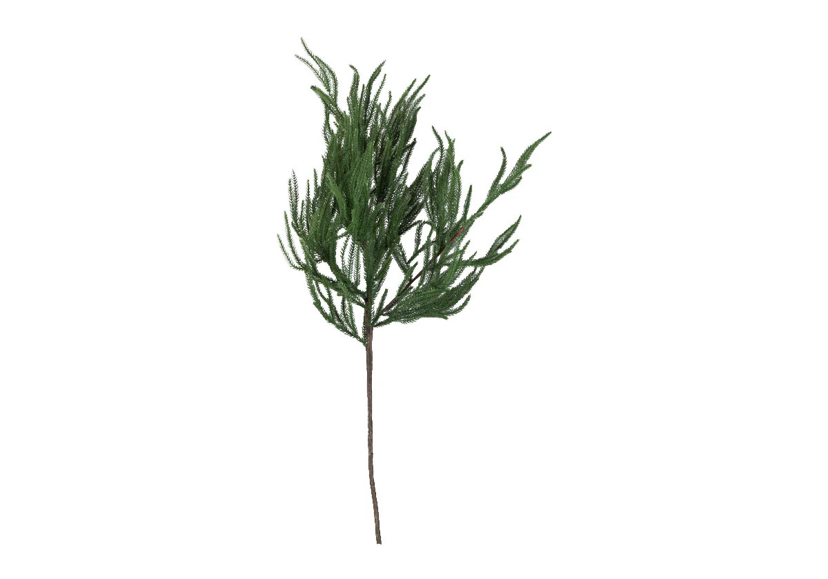 EVERGREEN FIR STEM | Alice Lane Home Collection