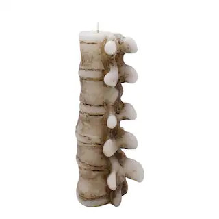 8" Spine Shaped Candle by Ashland® | Michaels | Michaels Stores