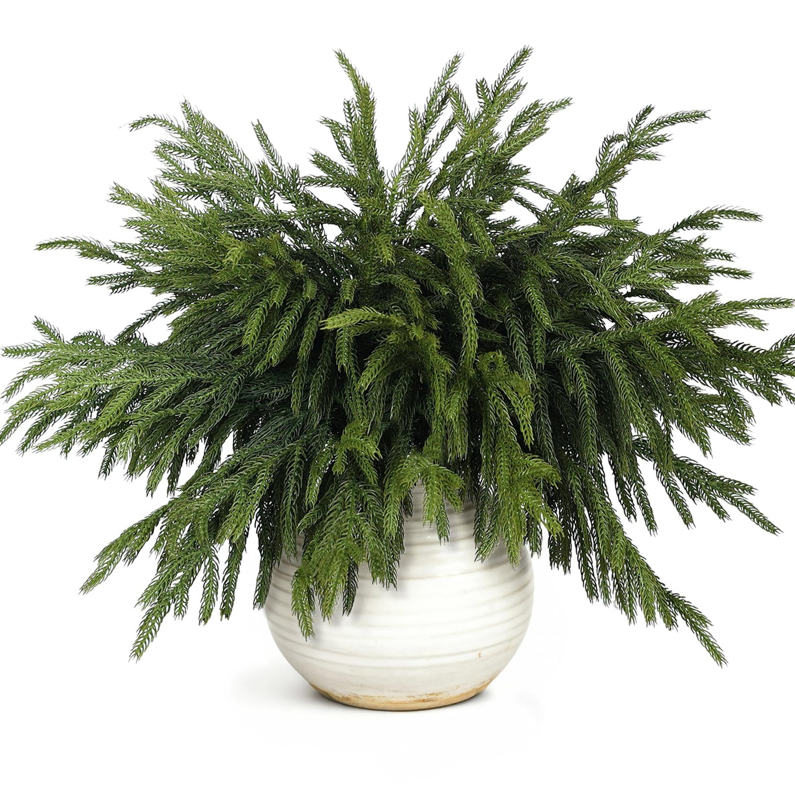 20 Pcs Christmas Norfolk Pine Branches -18" Real Touch Artificial Norfolk Pine Branch Faux Plants... | Amazon (US)