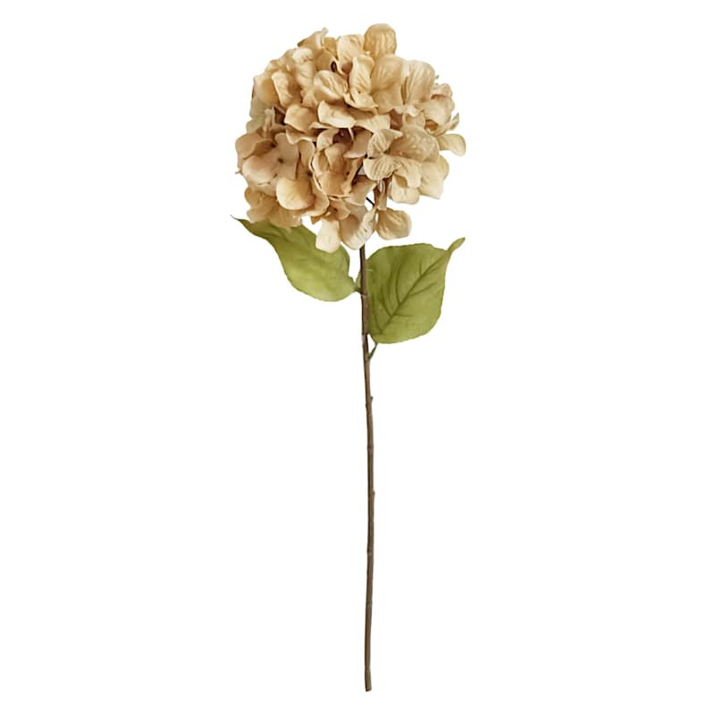 Brown Hydrangea Stem, 28" | At Home