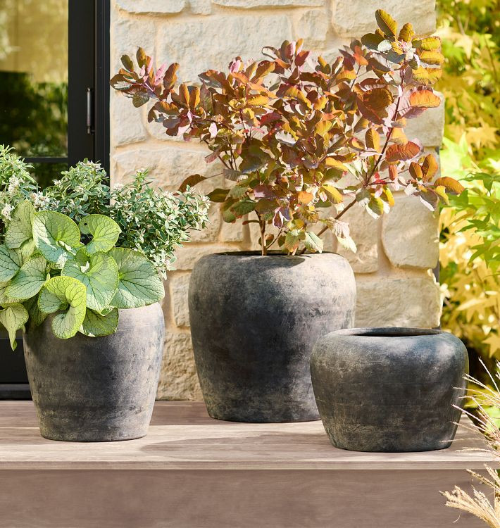 Lyre Terracotta Planters | Rejuvenation