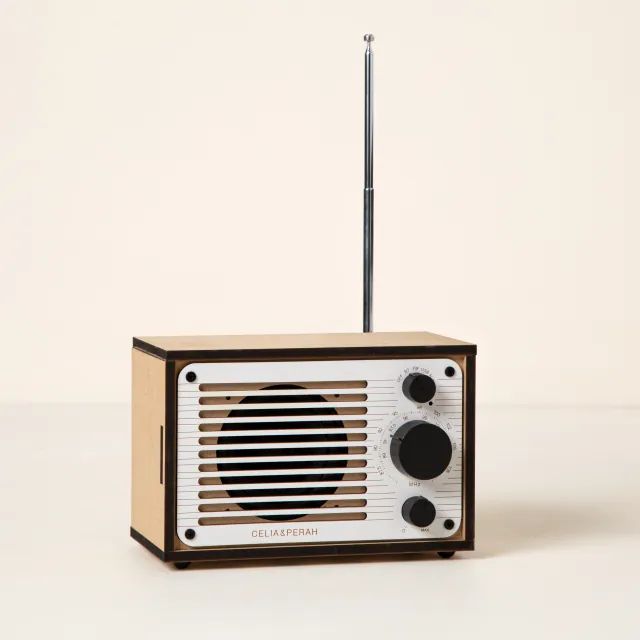 Build Your Own Bluetooth and FM Radio | UncommonGoods