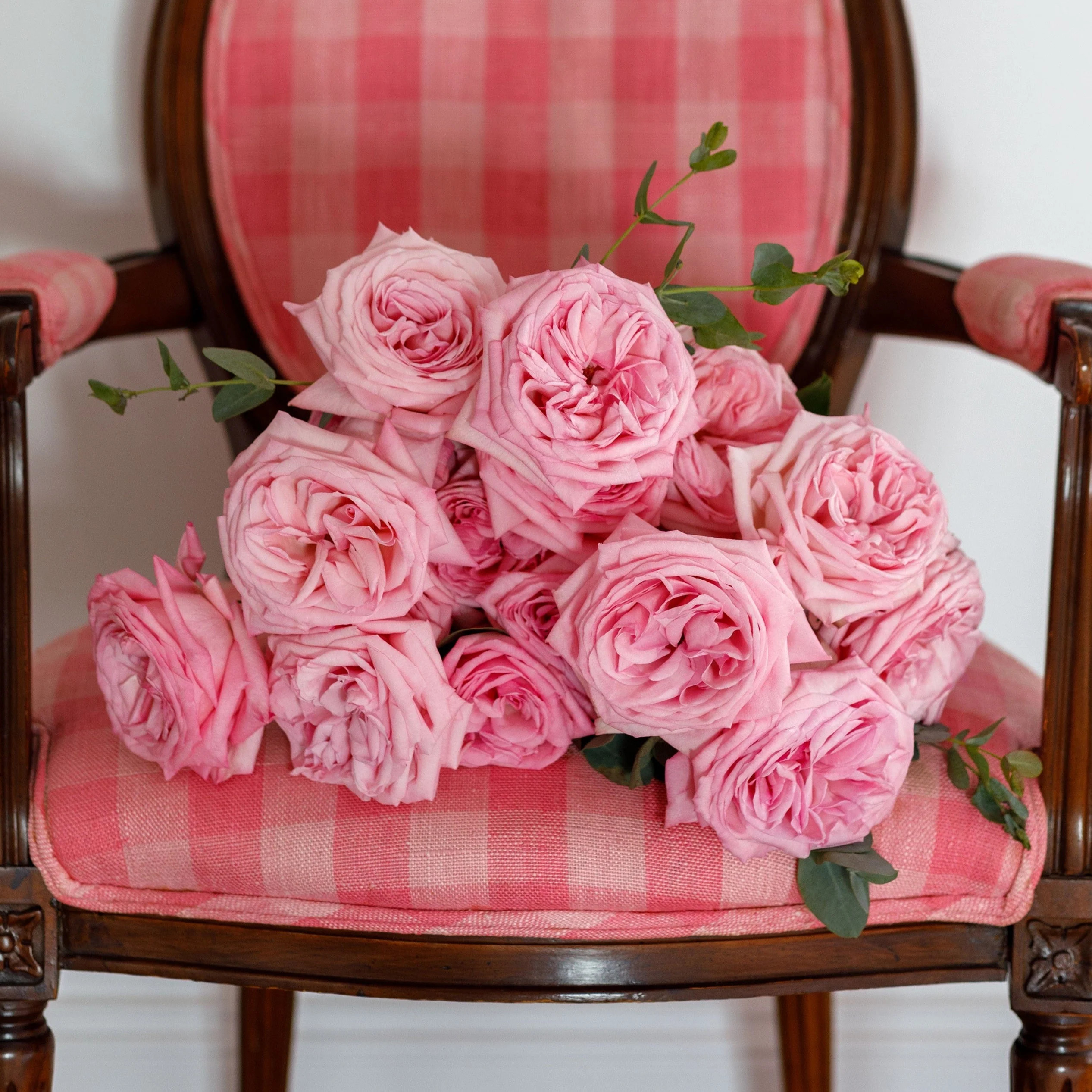 Pink O'Hara | grace rose farm