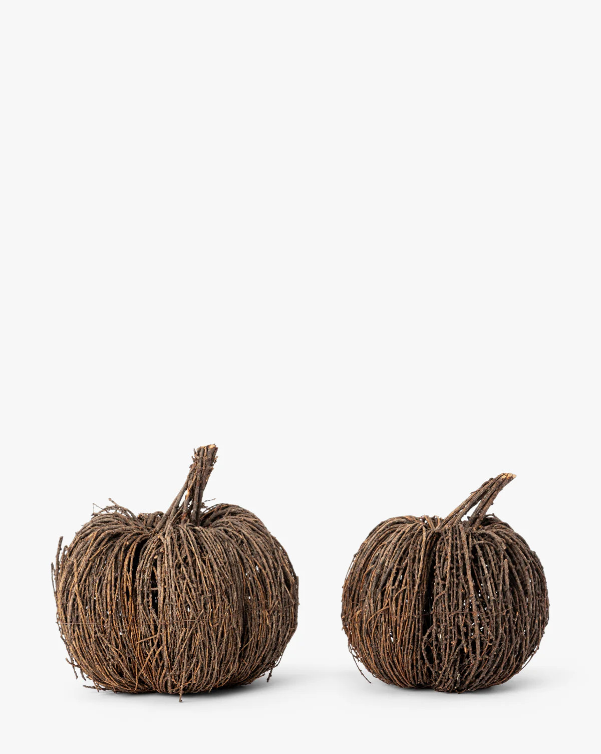 Vine Pumpkin | McGee & Co. (US)