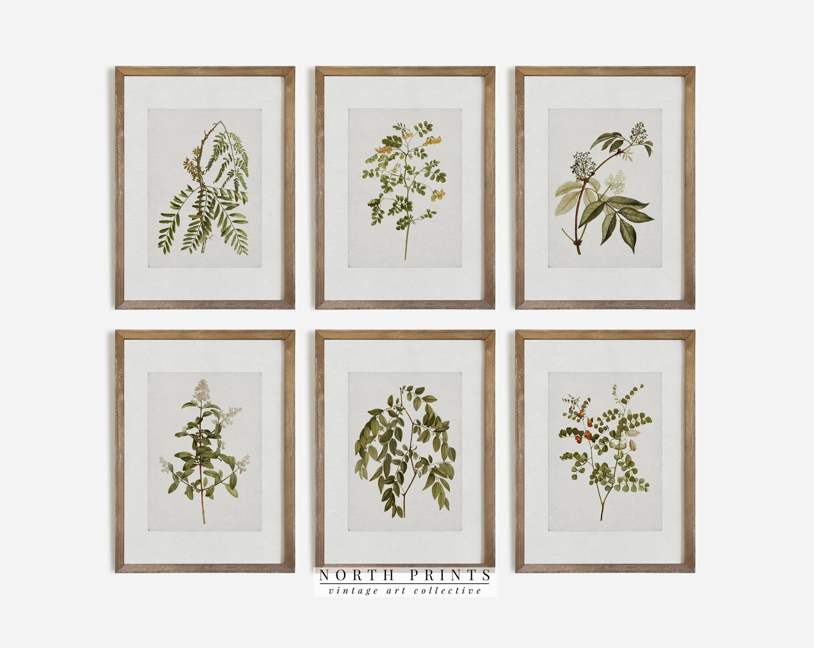 Vintage Botanical Gallery Wall Print SET Rustic Wall Decor PRINTABLE Digital North Print S83 - Et... | Etsy (US)