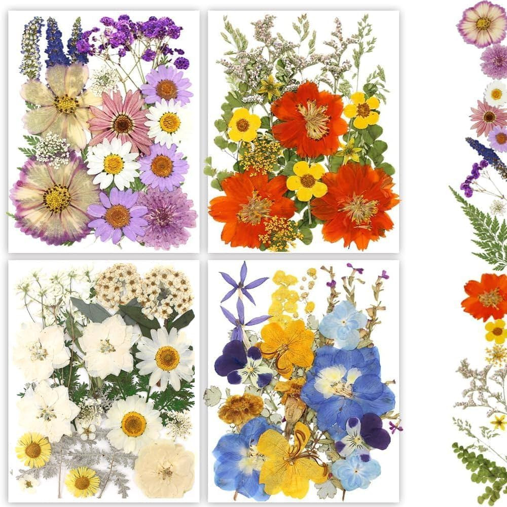 Dried Pressed Flowers, 80Pcs Real Natural Pressed Flowers Bulk for Resin Nail Art Scrapbooking Ca... | Amazon (US)