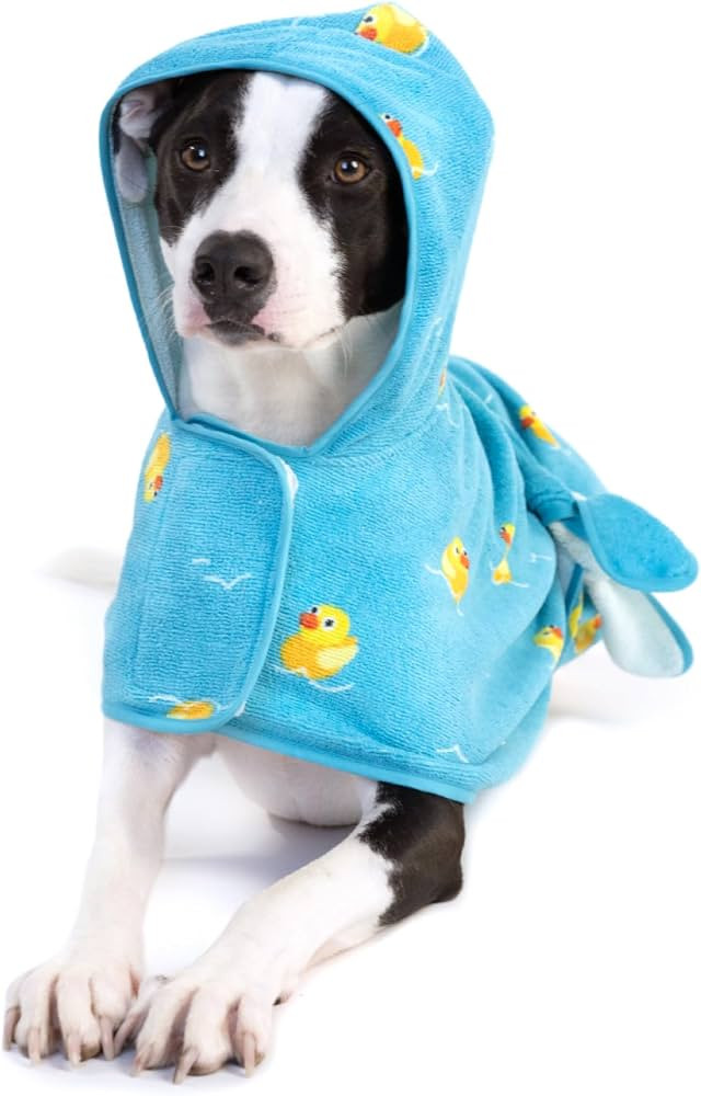 BARKBOX Dog Bathrobe - for Dogs - Medium | Amazon (US)