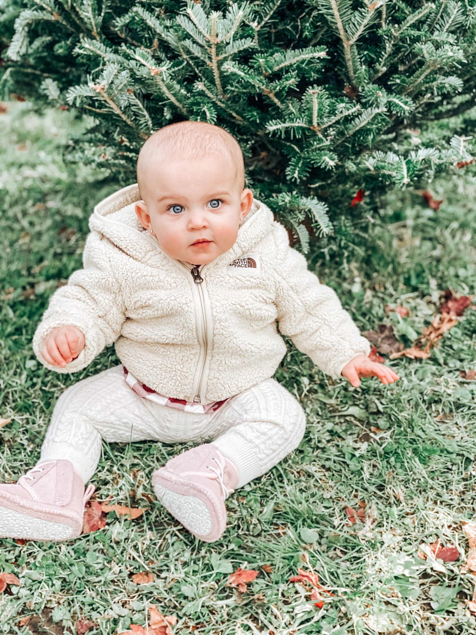 Winter Fashions for Babies and Toddlers
#northface #winterfashion #ugg #kids #baby #toddler #winterwear #seasonalfashion #coldweather #treepicking #sherpajacket 

#LTKSeasonal #LTKstyletip #LTKkids