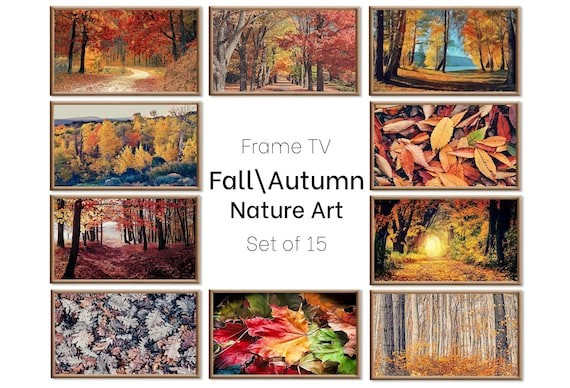 Set of 15 Samsung Frame TV 4K Art. Fall Wall Art Nature - Etsy | Etsy (US)