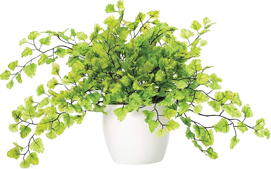 Maidenhair Fern Silk Foliage Plant | Amazon (US)